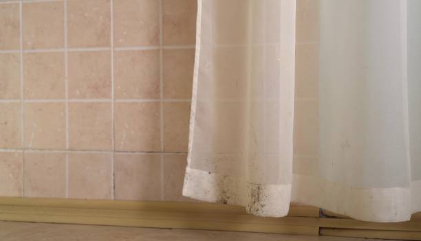Dehumidification Services in Hermiston, OR
