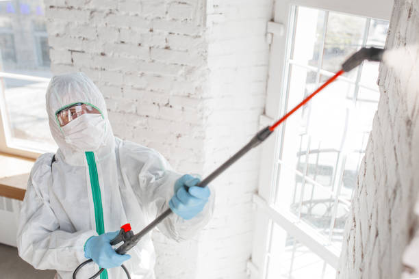 Best Mold Damage Restoration  in Hermiston, OR