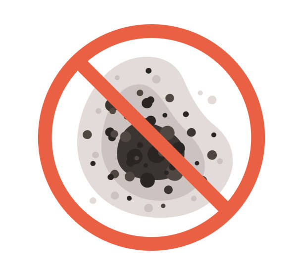 Best Mold Remediation for Healthcare Facilities  in Hermiston, OR