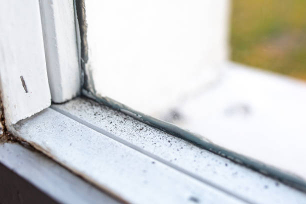 Best Mold Odor Removal Services  in Hermiston, OR