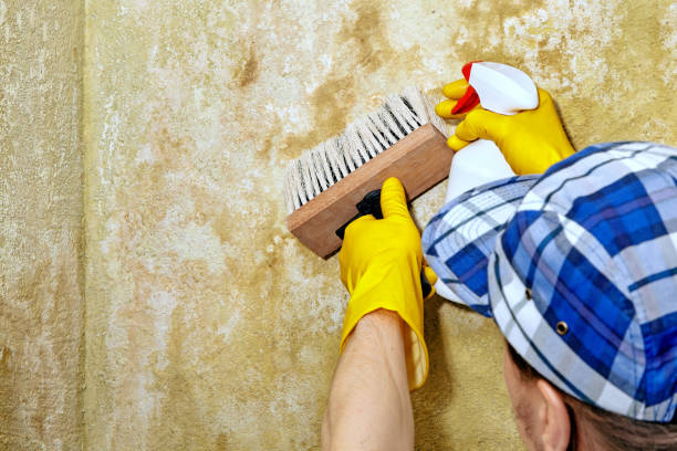 Best Residential Mold Inspection & Testing  in Hermiston, OR