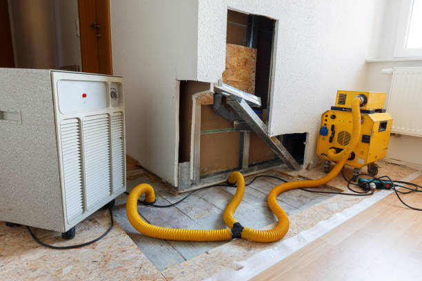 Best Dehumidification Services  in Hermiston, OR