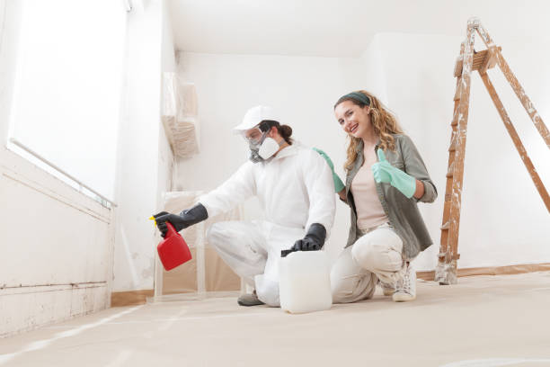 Mold Removal for HVAC Installations in Hermiston, OR