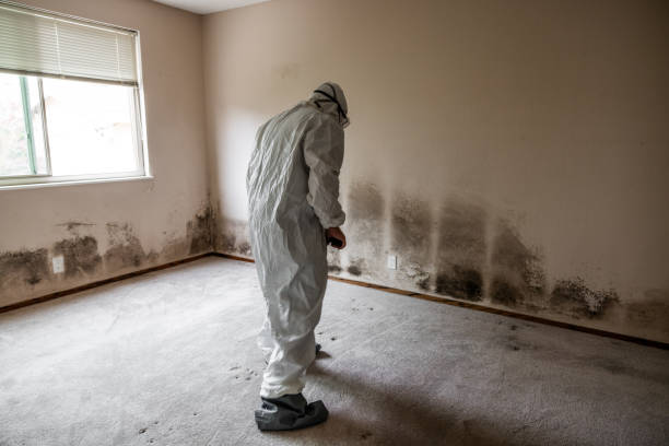 Best Crawl Space Mold Remediation  in Hermiston, OR