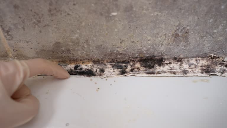 Best Dehumidification Services  in Hermiston, OR